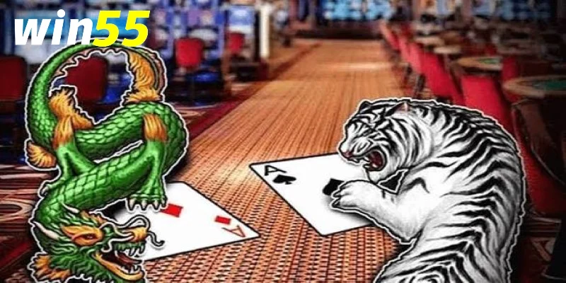 Rồng hổ trực tuyến Win55: Luật chơi, cửa cược và cách đọc kết quả 2 Các cửa cược trong Rồng hổ trực tuyến Win55